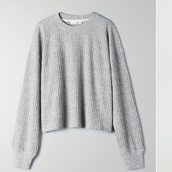 Aritzia Sweaters - 🌵Wilfred Free Rudko longsleeve